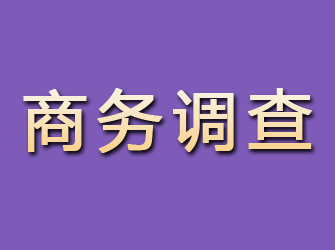 长沙商务调查